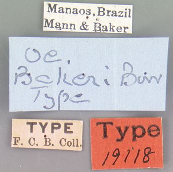 Media type: image; Entomology 19118   Aspect: labels
